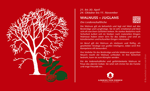 AUSVERKAUFT LvE Baumhoroskop