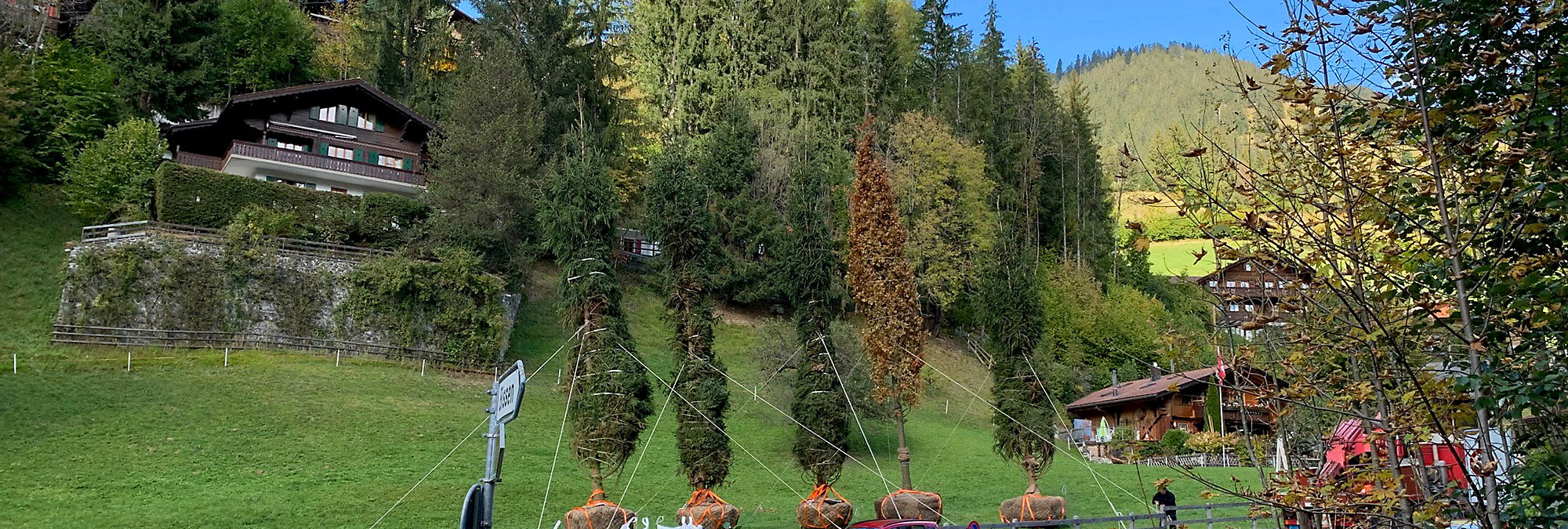 Entdecken Sie die vielfältigen privaten Gartenprojekte der renommierten Baumschule Lorenz von Ehren. Gestalten Sie Ihren privaten Garten mit hochwertigen Pflanzen und Bäumen. Erfahren Sie mehr über unsere Expertise und inspirierende Ideen für private Gärt