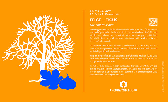 AUSVERKAUFT LvE Baumhoroskop