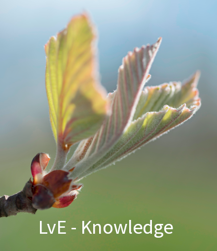 Information about trees and our nursery